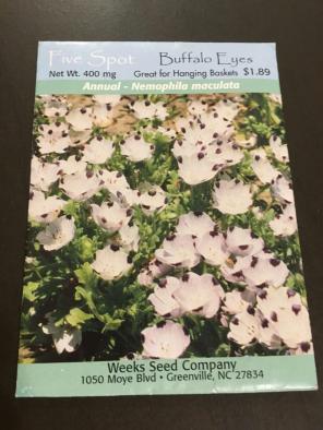 Five Spot Buffalo Eye Seeds 1 Package