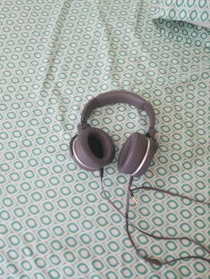 Sony mdr950xb