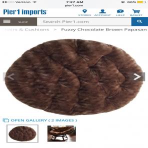 Papasan Cushion