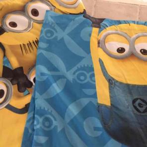 Shower curtain