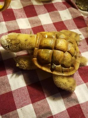 Stieff stuffed animal turtle