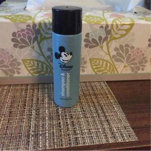 Free bundle item! Disney hair care