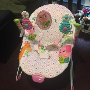Brand NEW Bouncer!
