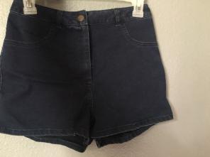 Dark Blue Brandy Melville Shorts