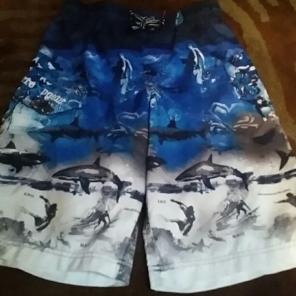 Boys zero exposure swim trunks sz 10/12