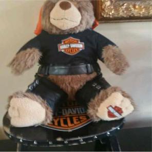 Harley Davison stepstool and Baer set
