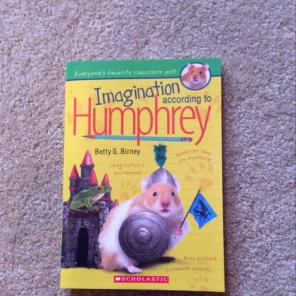 Imagination According To Humphrey