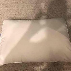 Sleep number goose down pillow