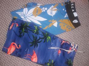 Vissla & Vans men's swim Trunks(2)