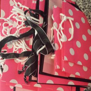 GREAT VS PINK GIFT BAGS BUNDLE