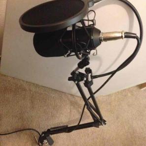 Condenser microphone with filter