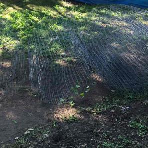 Wielded farm fencing. Used