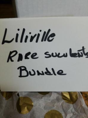 Lillivile bundle.