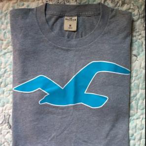 Hollister T-Shirt