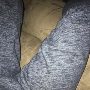 Hollister Navy Blue Joggers