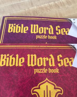 2 BIBLE WORD SEARCH PUZZLE BOOKS NEW