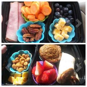 Meal proportion boxes 10 NEW Weight Loss