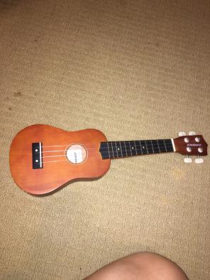 Ukulele And Case