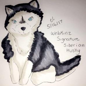 WEBKINZ SIGNATURE SIBERIAN HUSKY DRAWING