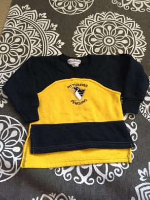 Pittsburg Penguins 3T Hockey