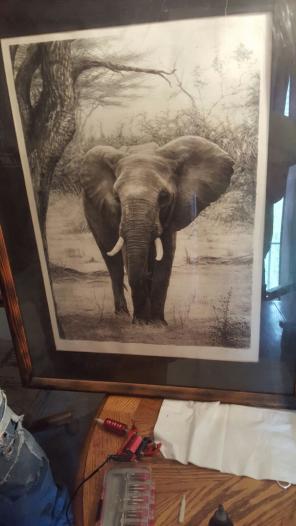 Ndovu 17x23 1/2