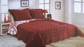 3 Pcs Queen Size Velvet Bedspread Set