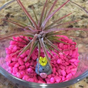XXSOLDXXAir Plant with Totoro