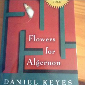 Flowers For Algernon
