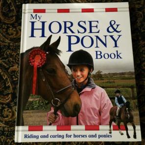 My Horse and Pony Book