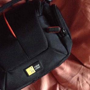 Case Logic Organizer
