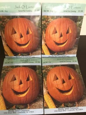 Pumpkin Seeds Lot 4 Packages