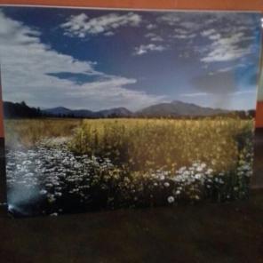 11 x 14 adirondack print