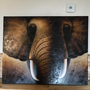 Elephant Canvas