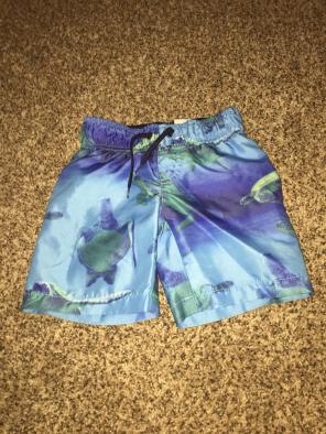 Turtle Swim Trunks 2T