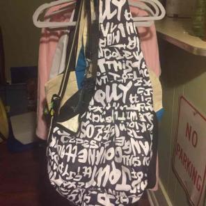 Pet Carrying Bag