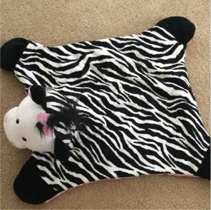 Zebra baby boom