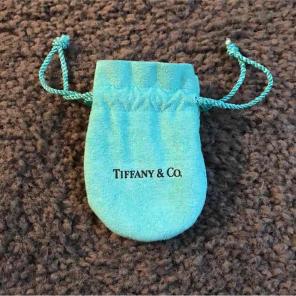 Tiffany & Co pouch