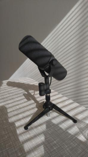 Shure mic