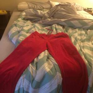 Red New York + Company cozy pants