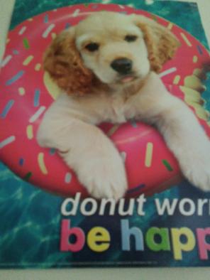 A dog poster