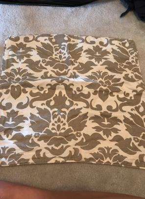 Pottery barn Pillow Cover