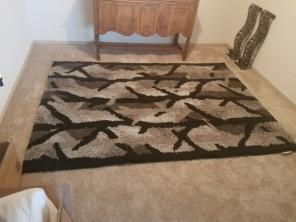 Brand New area rug