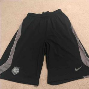 Nike dri-fit men's shorts