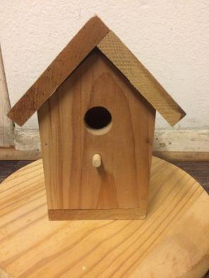 Custom Bird House
