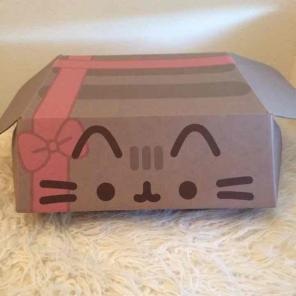 Pusheen winter box