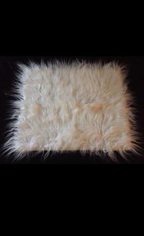 New Fur Picture Prop Rug