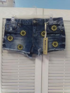 Nwt. Blue Spice Shorts
