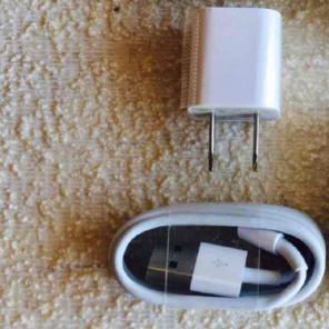 Charger & wall plug