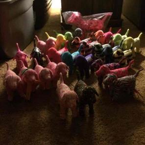 Pink vs doggie bundle (28)