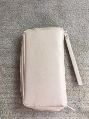 Small Purse With Strap, Beige